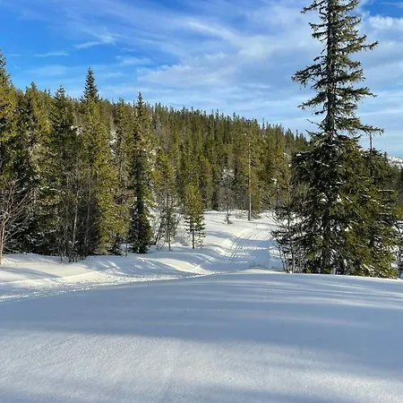 By The Cross-country Trails In Norefjell * Eggedal