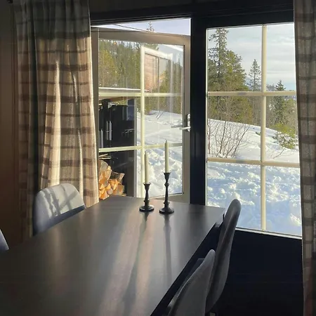 By The Cross-country Trails In Norefjell *