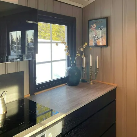 By The Cross-country Trails In Norefjell *