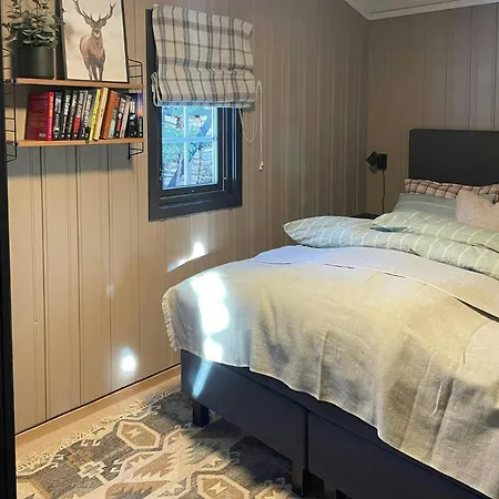 By The Cross-country Trails In Norefjell