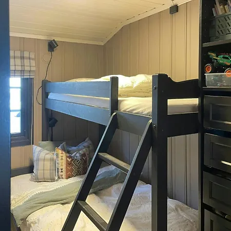 By The Cross-country Trails In Norefjell Eggedal