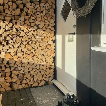 By The Cross-country Trails In Norefjell Eggedal