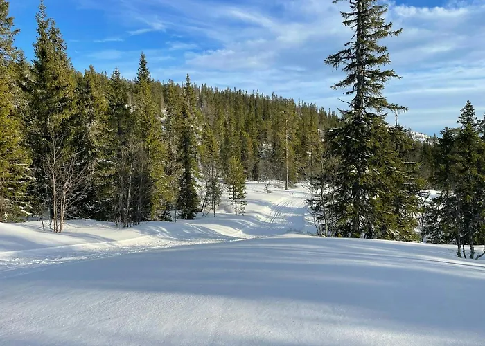 Дом отдыха By The Cross-country Trails In Norefjell Eggedal