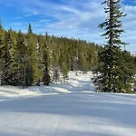 بيت للعطل By The Cross-country Trails In Norefjell Eggedal