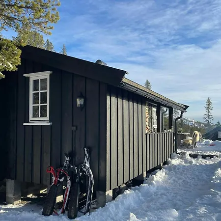 度假居 By The Cross-country Trails In Norefjell
