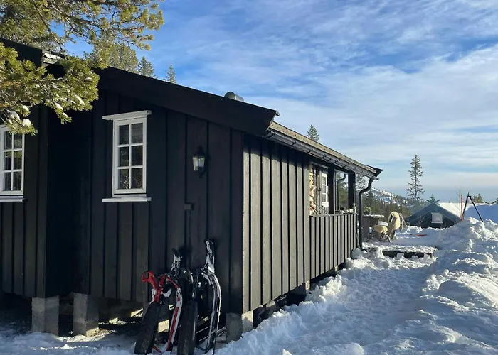 度假居 By The Cross-country Trails In Norefjell