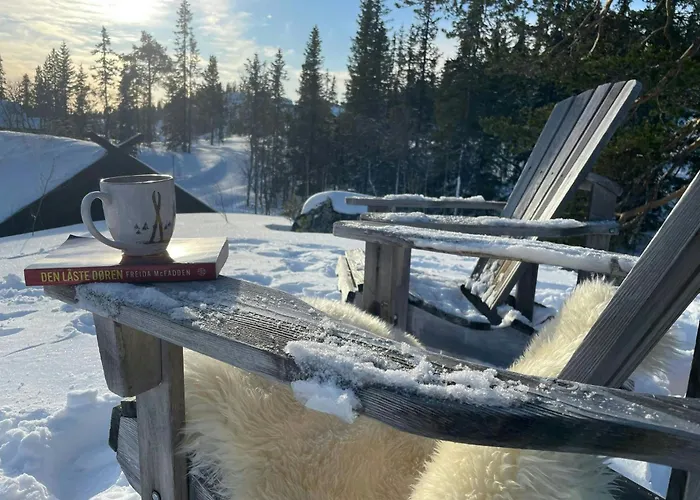 By The Cross-country Trails In Norefjell